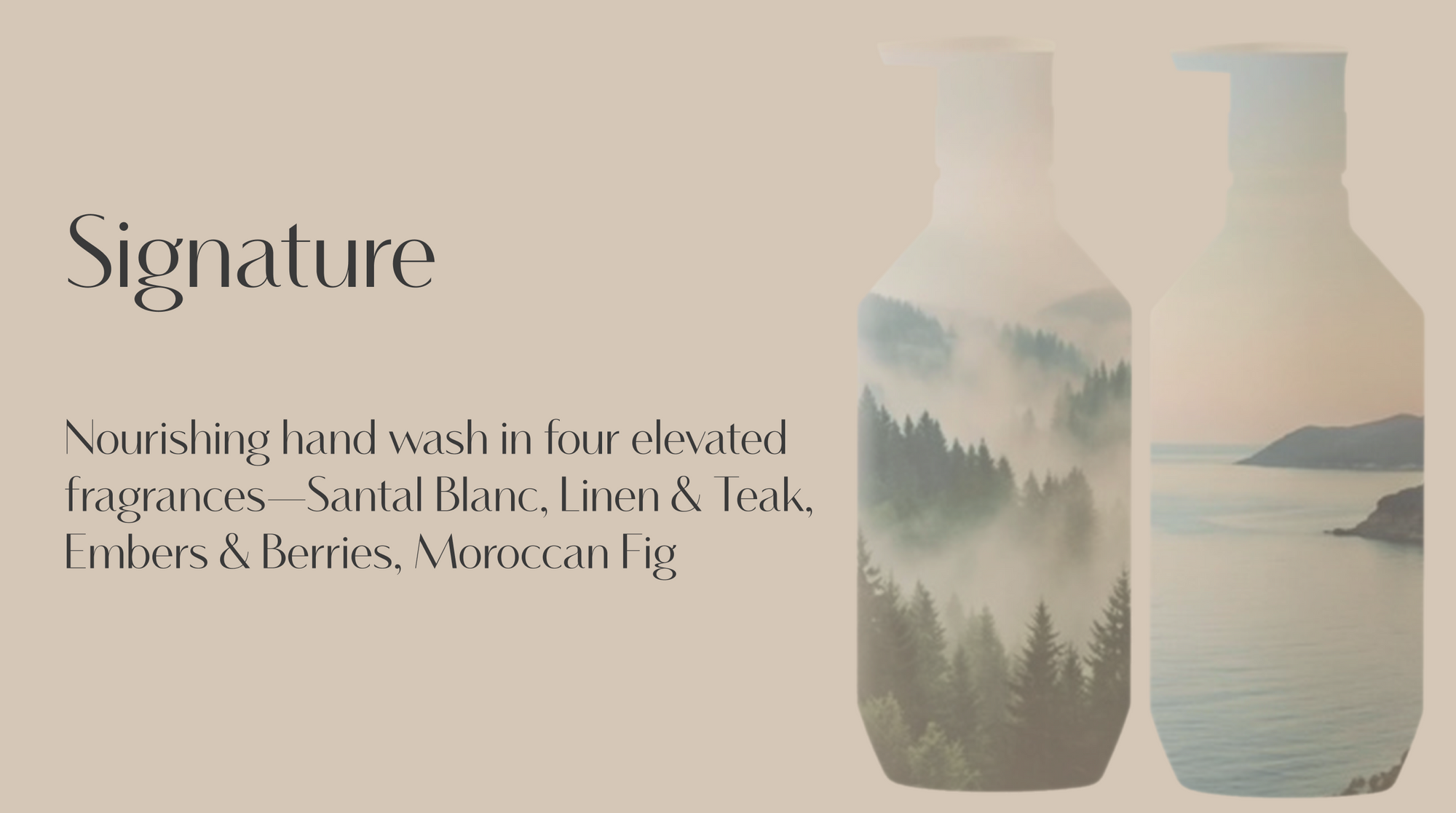 Hand Wash-2026