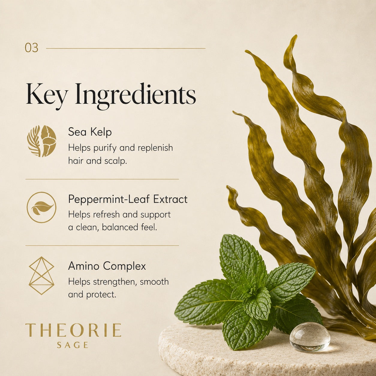 Key ingredients of a hair care product with sea kelp, peppermint leaf extract, and amino complex on a beige background.
