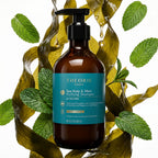Sea Kelp & Mint Purifying Shampoo